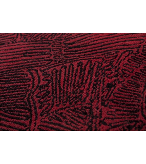 Intrigue Japonaise Nodus Tapis