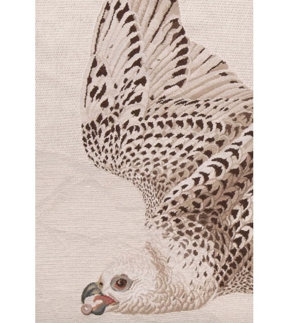 Migration - Aquila Nodus Tapis