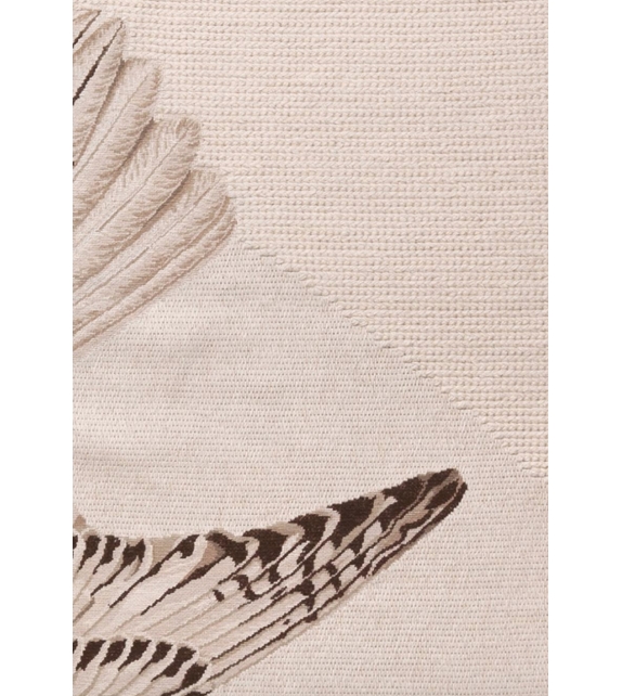 Migration - Aquila Nodus Teppich