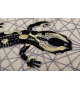 Salamandra Ardentis Agri Nodus Alfombra