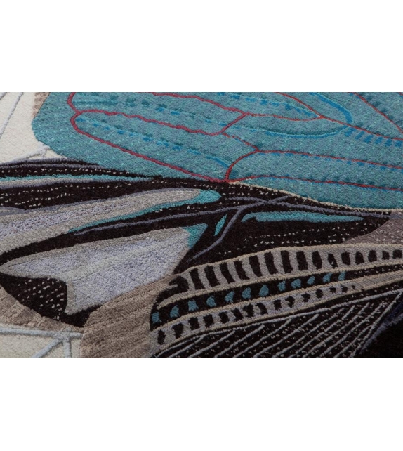 Tacua Fukushimae Nodus Tapis