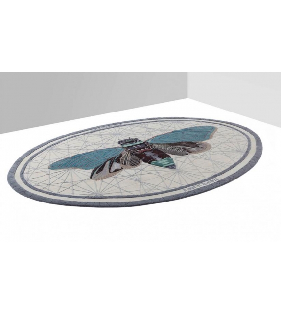 Tacua Fukushimae Nodus Tapis