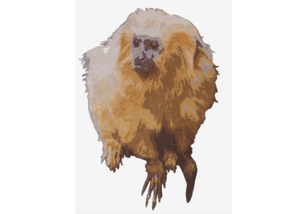 Monkey Nodus Rug Milia Shop