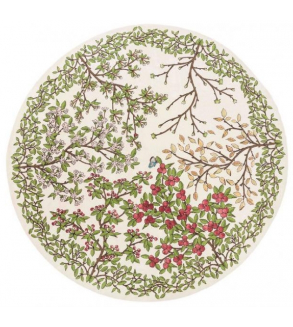 Transience Nodus Tapis