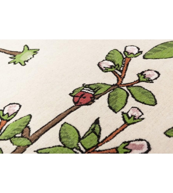 Transience Nodus Tapis