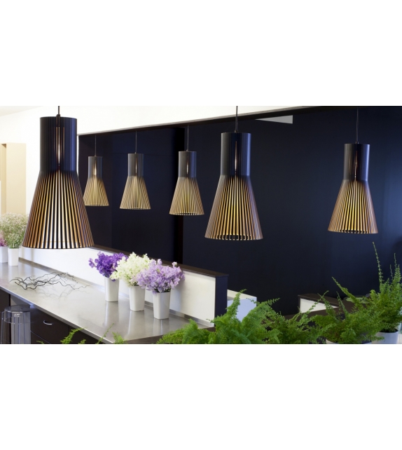 Secto 4201 Secto Design Pendant Suspension