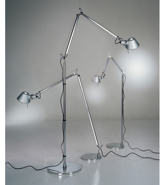 Tolomeo da terra (Alogena)