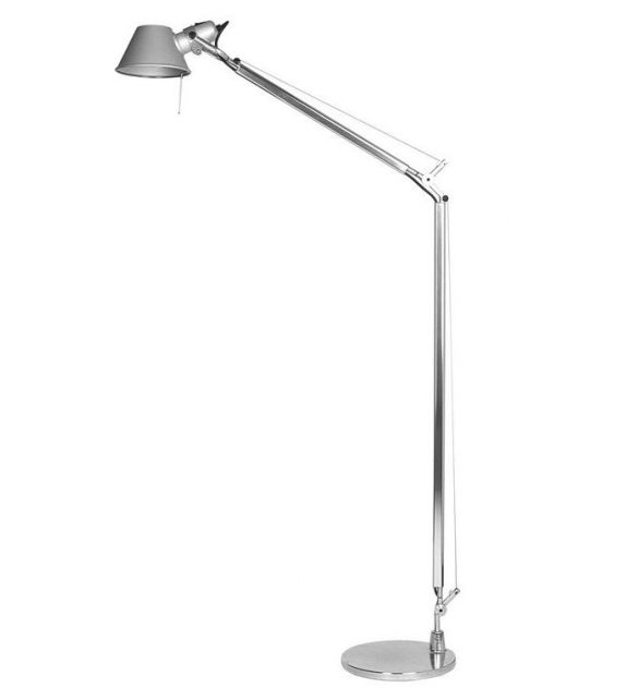 Tolomeo da terra (Alogena)