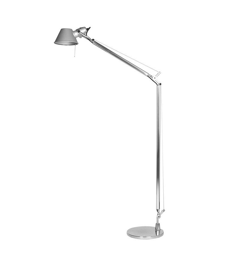 Tolomeo da terra (Alogena)