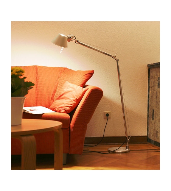 Tolomeo da terra (Alogena)