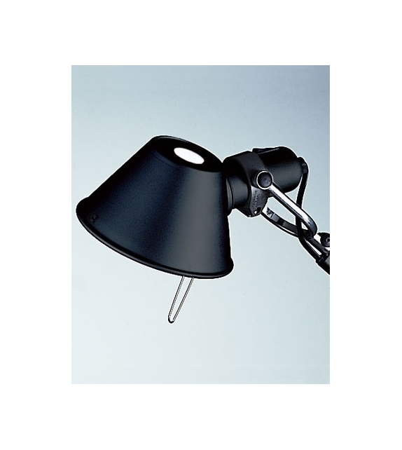 Tolomeo da terra (Alogena)