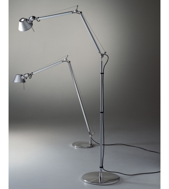 Tolomeo LED da terra 