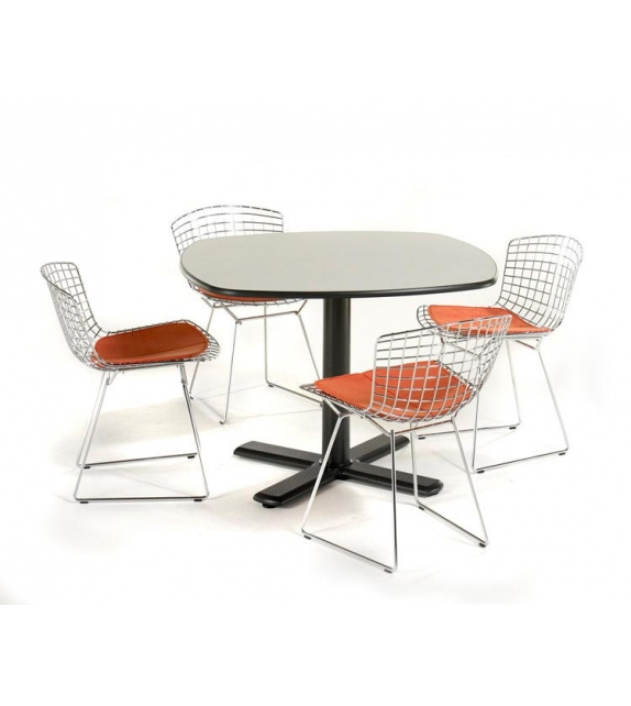 Bertoia sedia con cuscino