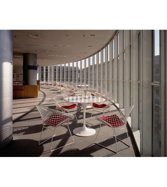 Bertoia poltroncina con cuscino