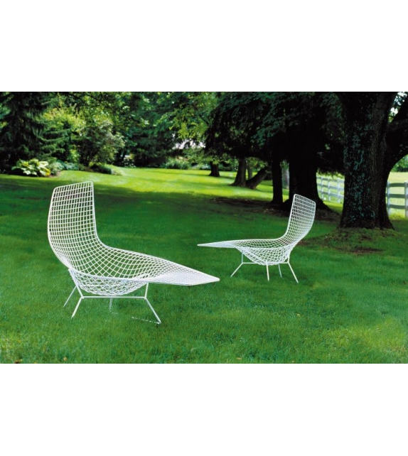 Bertoia poltrona Asimmetrica 