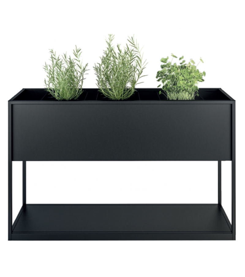 Planter Carl Röshults Fioriera