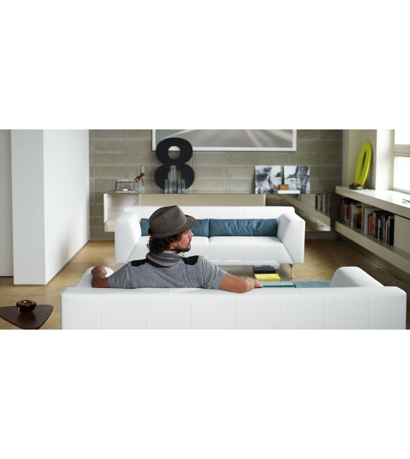 Linea Rolf Benz Sofa