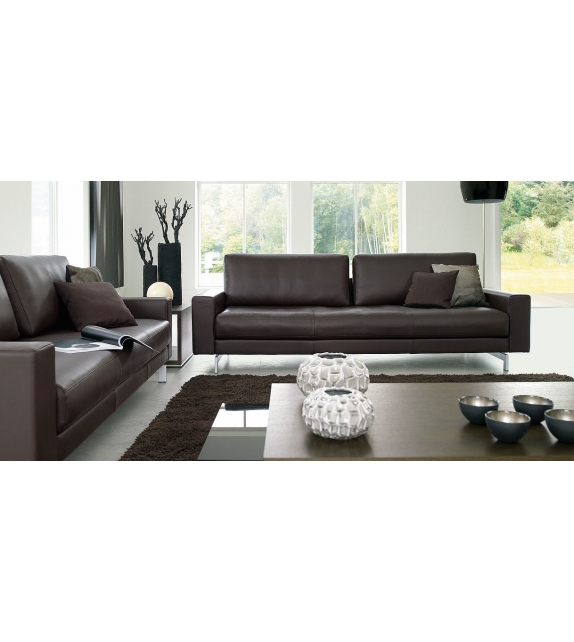 Vida Rolf Benz Sofa