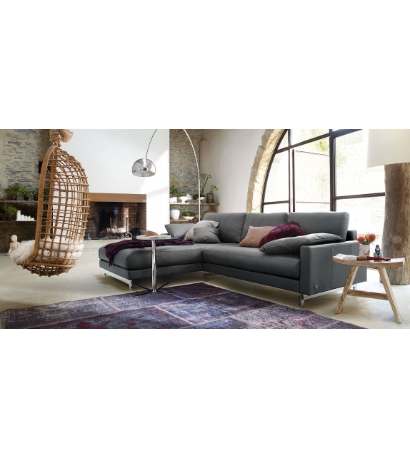 Vida Rolf Benz Sofa