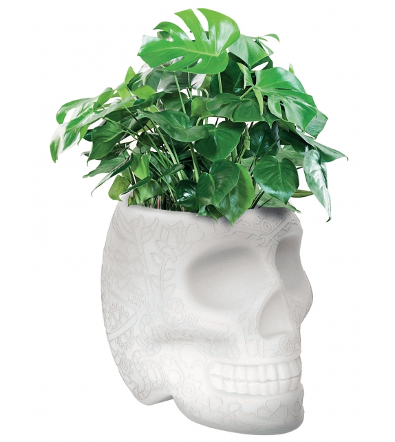 Mexico Planter Qeeboo Leuchte