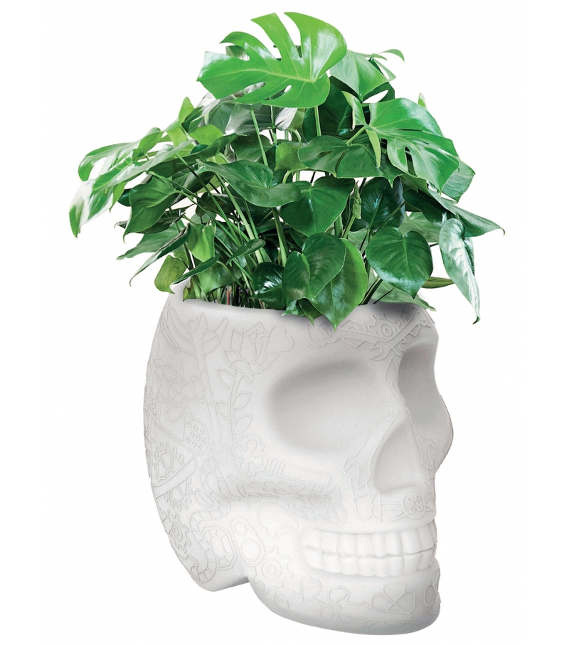 Mexico Planter Qeeboo Leuchte