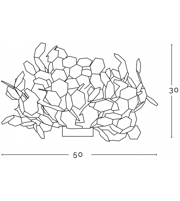 Andromeda Zava Applique