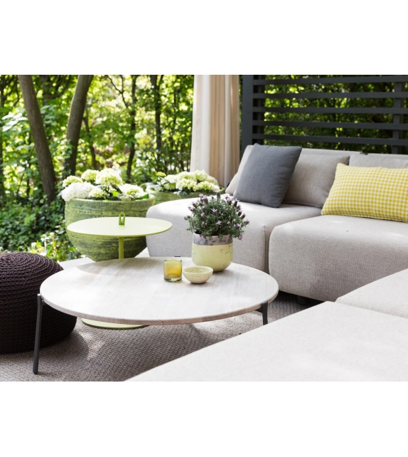 Branch Tribù Table Basse