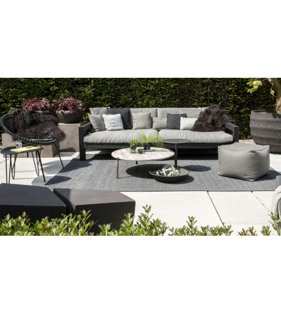 Branch Tribù Mesita