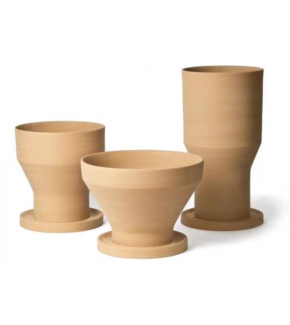 Erba InternoItaliano Jarrón