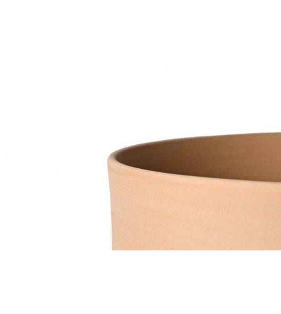 Erba InternoItaliano Jarrón