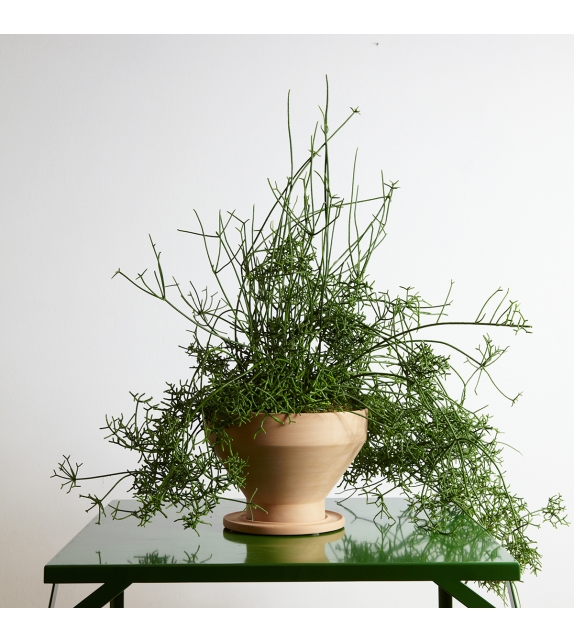 Erba InternoItaliano Vase