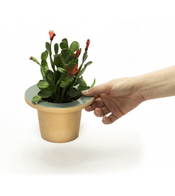 Pofi InternoItaliano Support pour Plante