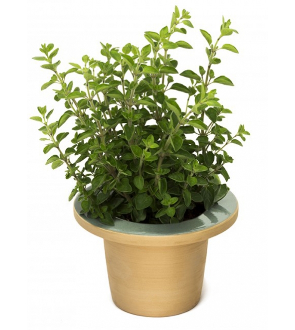 Pofi InternoItaliano Portavaso