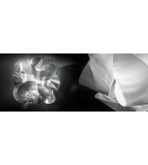 Fabula Slamp Ceiling-Wall Lamp