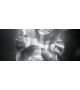 Fabula Slamp Ceiling-Wall Lamp