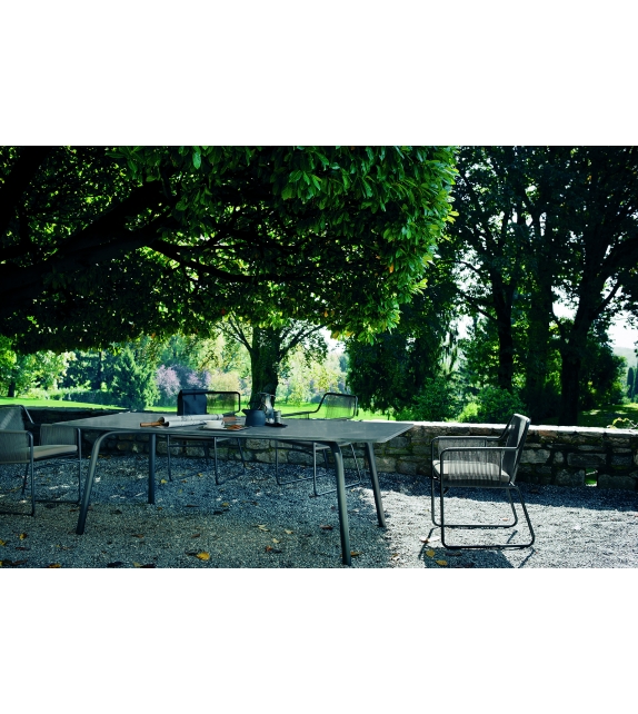 Harp 359 Poltrona Roda