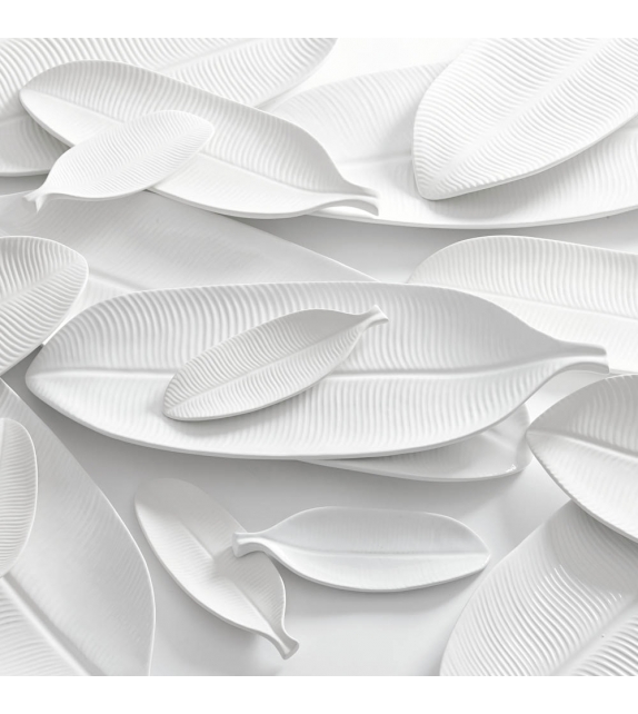 Foglia Banano Bosa Centrotavola