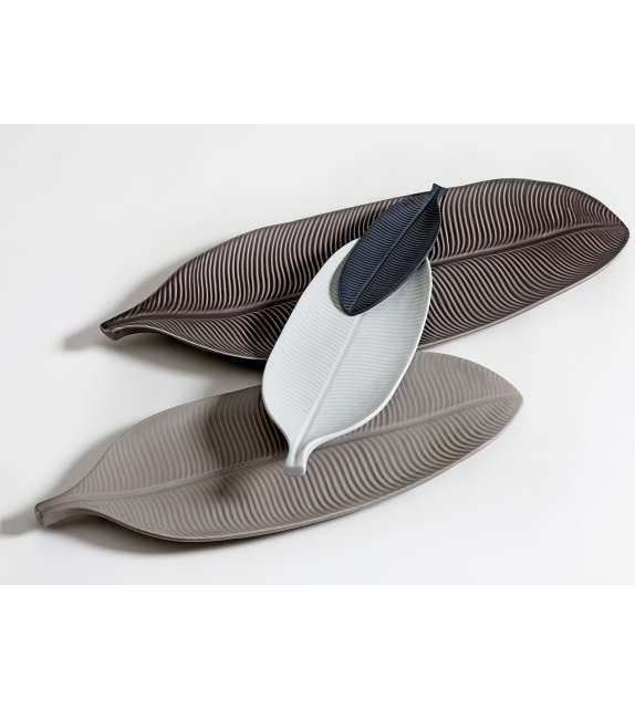 Foglia Banano Bosa Centrotavola