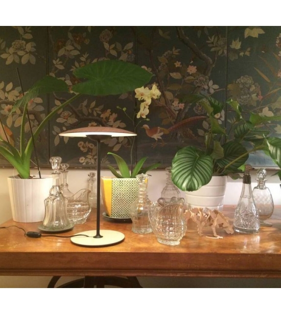 Ginger Marset Lampe de Table