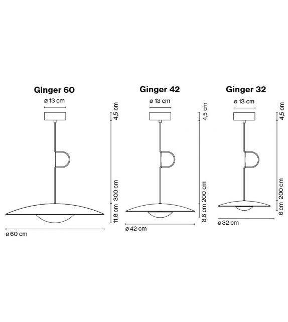 Ginger Marset Suspension