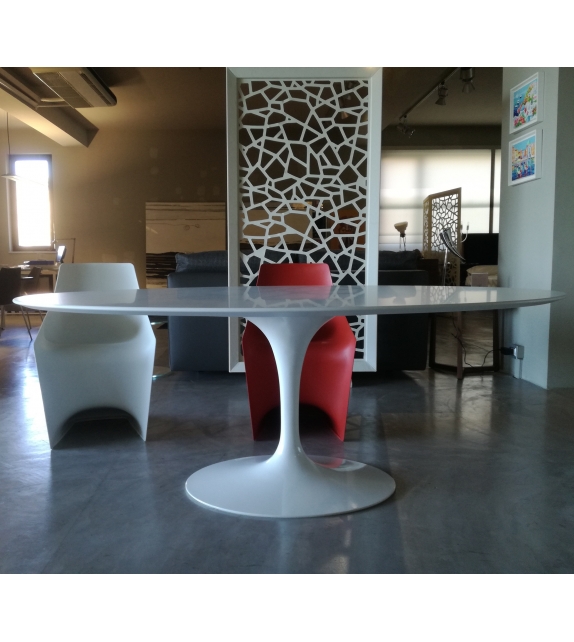 Saarinen Mesa Oval De Mádera Knoll