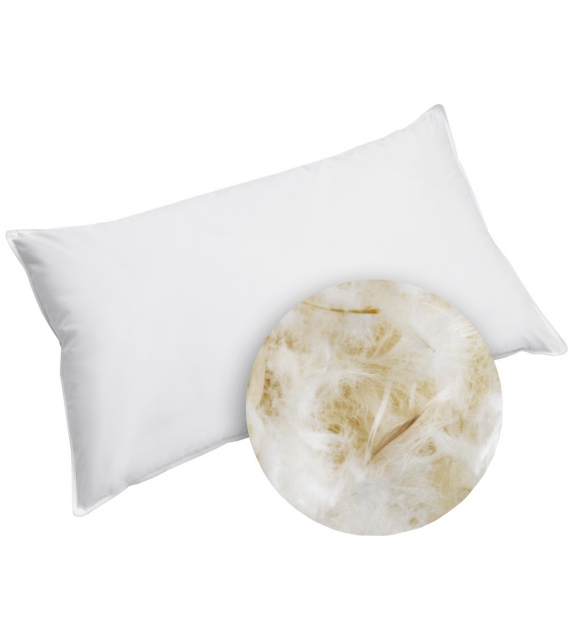 Duvet D'Oie Flou Oreiller