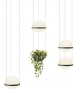 Palma Vibia Suspension Lamp