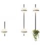Palma Vibia Wall Lamp