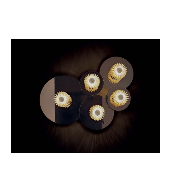 In The Sun DCW Éditions Applique