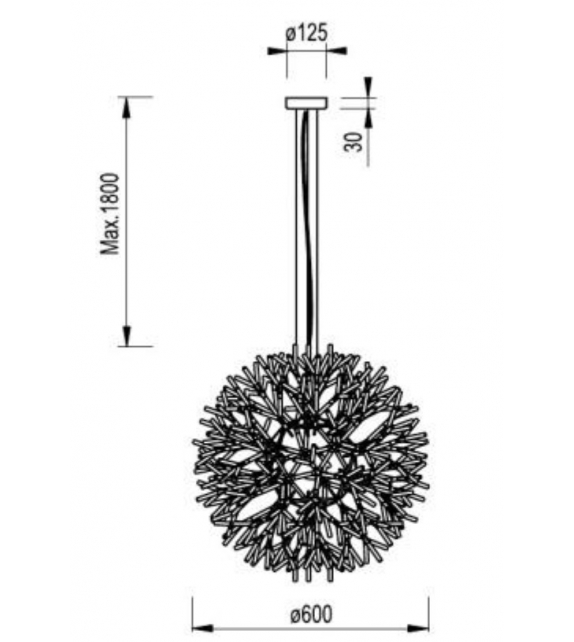 Coral Pallucco Suspension