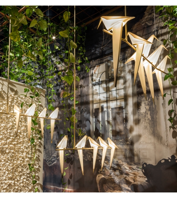 Perch Light Branch Moooi Lámpara De Suspensión