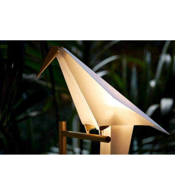 Perch Light Moooi Lampe De Table