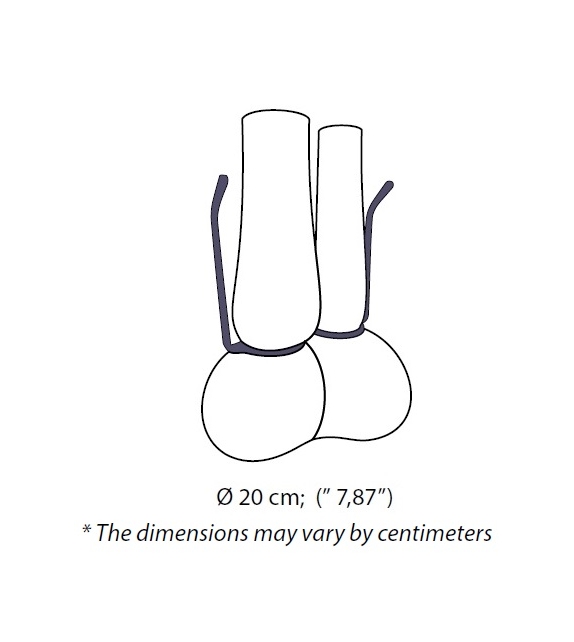 Where Are My Glasses ? Double Lens Venini Vaso