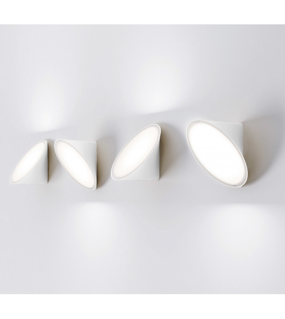 Orchid Axo Light Wall Lamp